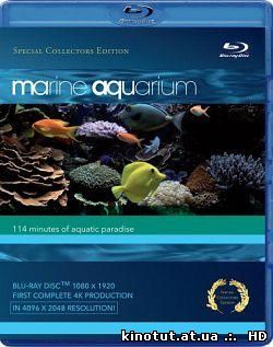 Морской аквариум / Marine Aquarium (2008)