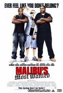 Разыскиваются в Малибу / Malibu's Most Wanted (2003)
