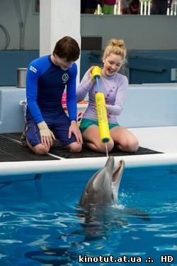 История дельфина 2 / Dolphin Tale 2 (2014)
