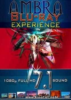 Амбра / Ambra Experience (2008)