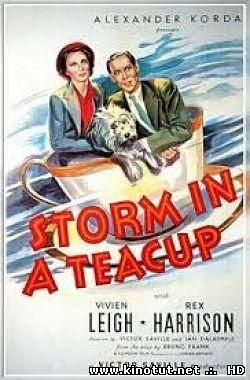 Буря в стакане воды (1937)