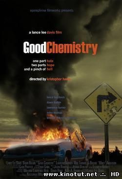 Хорошая химия / Good Chemistry (2008)