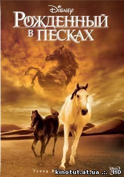 Рождённый в песках / The Young Black Stallion (2003)
